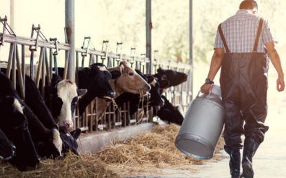 A man is carrying a bucket of milk, highlighting the significance of global agriculture.